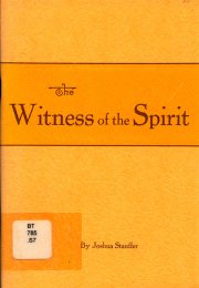 Book cover image - The Witness of the Spirit