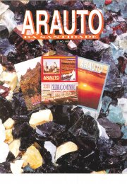 O ARAUTO DA SANTIDADE - JULHO 1993