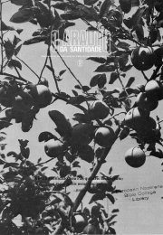 O ARAUTO DA SANTIDADE - 15 DE MARÇO DE 1981