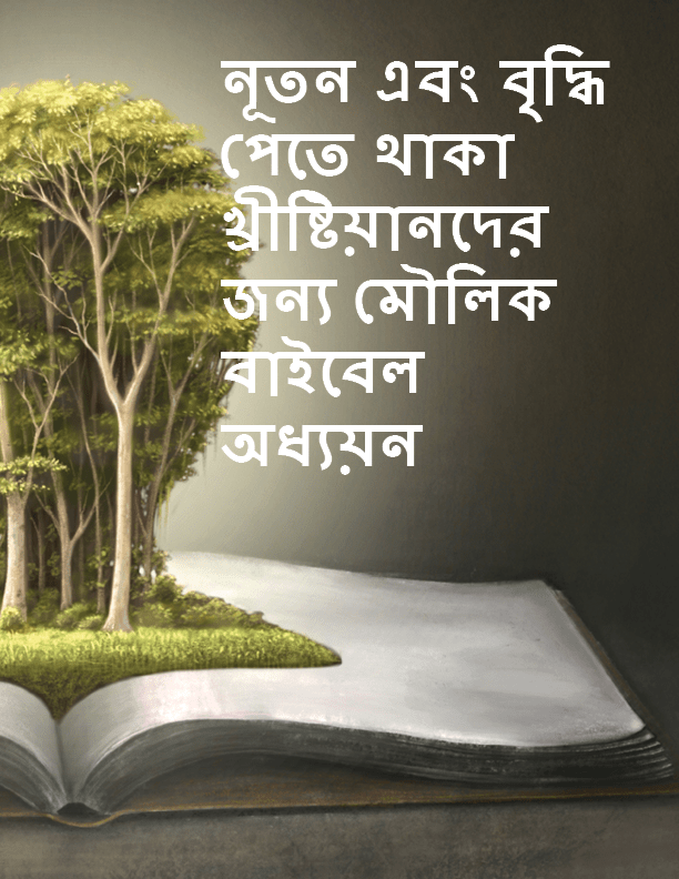 নূতন এবং বৃদ্ধি পেতত থাকা খ্রীষ্টিয়ানতের জনয প ৌলিক বাইতবি অধ্যয়ন